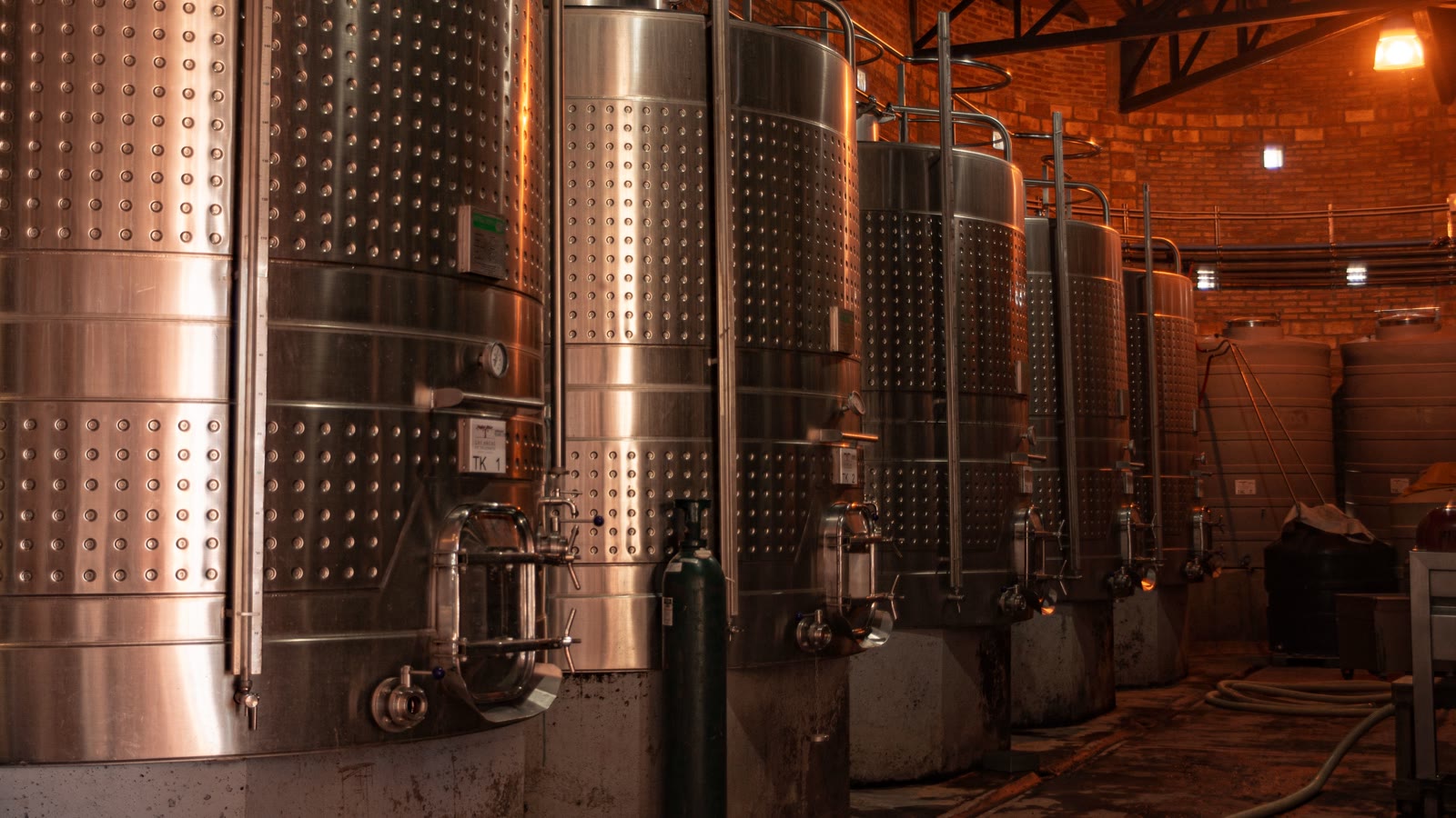 Illustrative stainless-steel storage tanks and processing pipework inside an industrial plant.